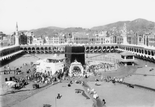 Pilgrims Are Approaching the House of the Lord